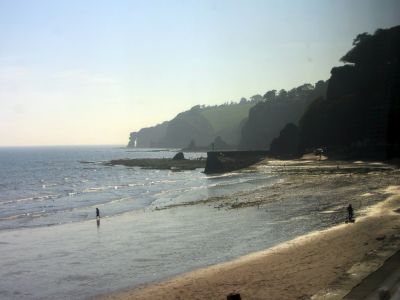 A beach on the coast.