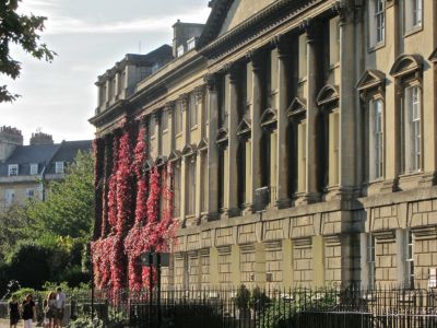 Loved the color of the ivy chaning for the season