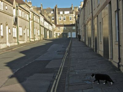 back street, not fully black cat