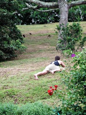 chris rooster hunting with a BB gun