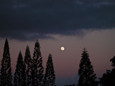 full moon in november