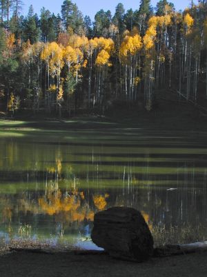 Potatoe lake in Arizona