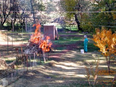 Elenor our neighbor getting rid of yard waste the way she has for years