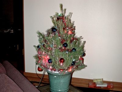 my last chrismas tree (as of 2011).  christmas' after had too many other things going on to get one