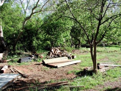 the beginnings of a chicken coop, a pile of wood!