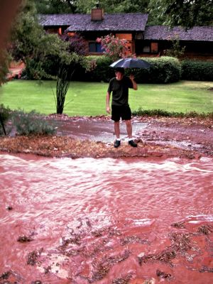 a bunch of rain dumped on the airport above in mass, it came down a ravine quickly then started going down the road, i had to build a small dam on the driveway to keep it back on that side