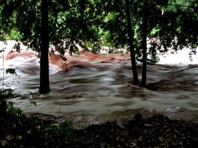 oak creek rising and moving faster than normal and brown