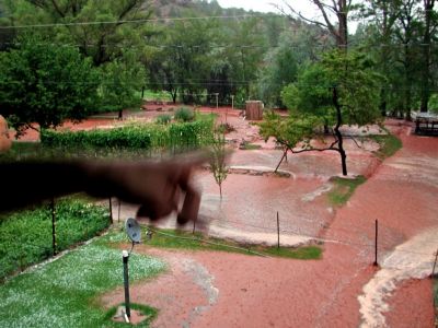 another harder storm with more rain up the hill breaking over the banks of the irrigation ditch