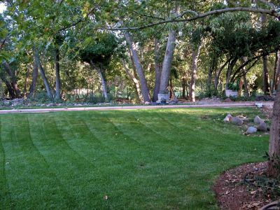 The lawn and creek area in the back, all cleaned up and healthy in october