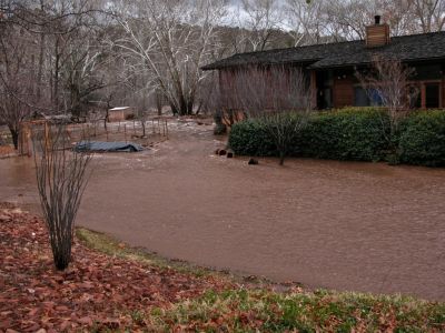 surrounding the house