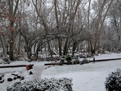 The blanket of snow covers up all the flood damage to the yard, even though there was a threat for 10 nights of reflooding