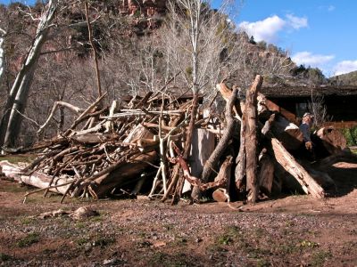 The gift of the river, wood that came from up creek that we had to deal with, sitting on the beautiful lawn