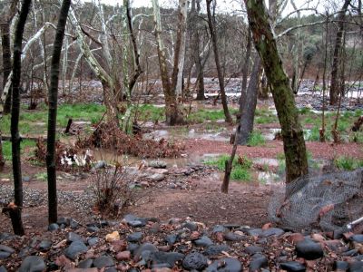 The creek and back yard had changed so drastically and put so many rocks in, it would flow in new places, and the major view was now blocked with a wall of rocks, making it less visible from the house