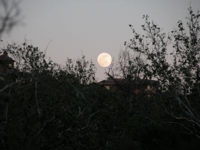 detailed full moon shots are always hard to get