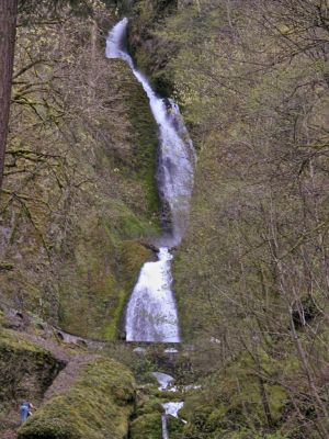 a waterfall near multinomah falls in the columbia gorge east of portland ore