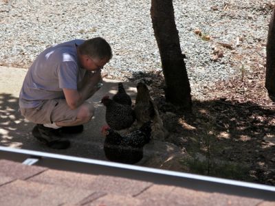 this was the last happy moment as a few minutes later a hawk took psyco away