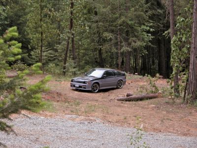 one of the crx's in the back yard, i had the young kid sides put on… but they were done wrong